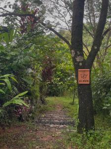 Φωτογραφία από το άλμπουμ του El Nido Torio σε Torio