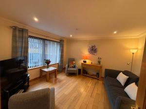 a living room with a couch and a television at No 2 High Park Lodges in Orkney