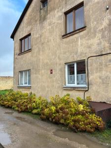 a building with windows and plants in front of it at Ligzdina in Auce
