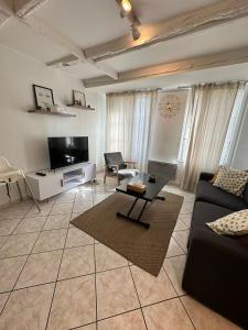 Μια τηλεόραση ή/και κέντρο ψυχαγωγίας στο Les Cosy de Nancy - Le repère du roi stanislas 4étoiles