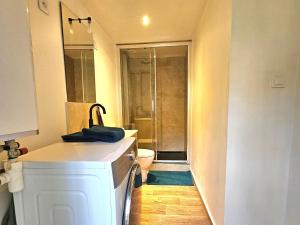 Ένα μπάνιο στο Duplex à 15 min à pieds de la gare, centre historique Montluçon +18 φωτογραφίες