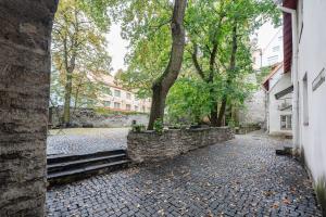 an empty street with trees and a stone wall at Old Town - Best Location Apartment in Tallinn