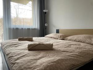 Ένα ή περισσότερα κρεβάτια σε δωμάτιο στο Apartmán FRIŠTENSKÉHO Olomouc