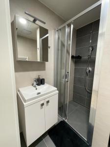 Ένα μπάνιο στο Apartmán FRIŠTENSKÉHO Olomouc +13 φωτογραφίες