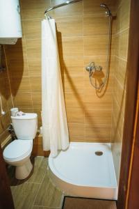 a small bathroom with a toilet and a shower at Zarichna in Drogobych