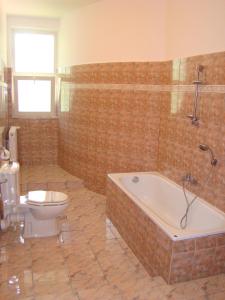 a bathroom with a tub and a toilet and a bath tub at Vila Carpathia in Bran +26 photos