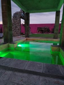 CabreraにあるHacienda Camino de Piedra San Miguel de Allendeの背景に馬車がある緑色の水たまり