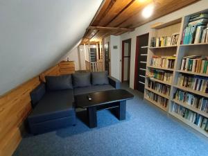 a living room with a couch and book shelves at Parádní chalupa in Semily