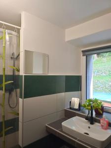 a bathroom with a sink and a shower at Parádní chalupa in Semily +32 photos