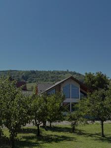 Ocna MureşにあるCabana Carpatinの前に木がある家