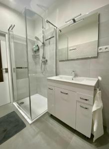 une salle de bain blanche avec lavabo et douche dans l'établissement CASTE Apartment, 1-4 guests, Garage, Historical Downtown, à Vinohrady