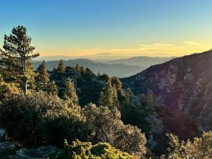 La Celle-sous-GouzonL'Atelier du Peintre的享有树木和山脉峡谷的景色