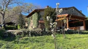 a house on a grassy field with a tree at The Walnut tree in San Miguel de Luena