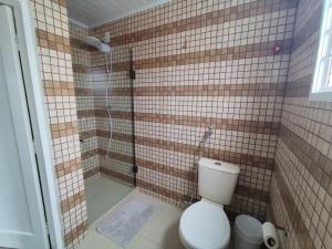 a bathroom with a shower with a toilet in it at Apto Dom Pedrito in Dom Pedrito +6 photos