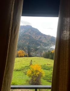 a window with a view of a field and a mountain at Mtis Racha in Oni +15 photos