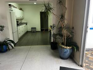 a kitchen with two potted plants and a refrigerator at TL Gastzimmer in Frankfurt/Main +9 photos