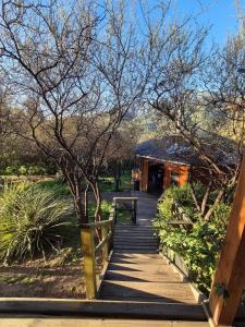 Příroda nedaleko prázdninového domu