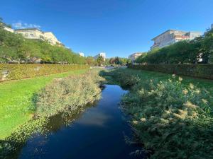 a view of a river with grass and buildings at Zen and chill F2 appartment and garden near Paris in Chelles