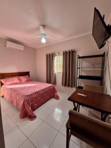 a bedroom with a bed and a desk and a television at bairro Amambai - sobrado com 5 quartos e 5 banheiros in Campo Grande