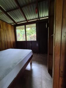 Fotografie z fotogalerie ubytování Barco Pirata-Beachfront jungle cabin v destinaci Puerto Jiménez