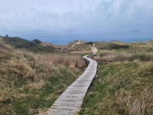 un chemin en bois traversant l'herbe sur une colline dans l'établissement Luxury Beach House in Blokhus - By Traum Ferienwohnungen, à Blokhus
