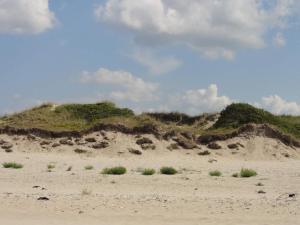 LiselejeにあるLuxury Retreat in Liseleje - By Traum Ferienwohnungenの砂と茂みと丘のあるビーチ