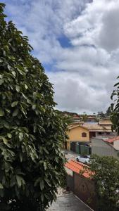 a large green tree next to a building at GO Hotelaria in Búzios
