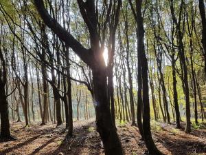 Příroda nedaleko prázdninového domu