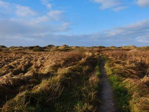Příroda nedaleko prázdninového domu + 26 fotografií