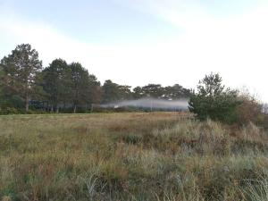 Un campo con niebla a lo lejos con árboles. en Beachside Haven in Marielyst - By Traum Ferienwohnungen, en Bøtø By