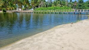 アシニにあるL'île de Marie-Joのギャラリーの写真