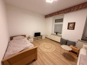 Μια τηλεόραση ή/και κέντρο ψυχαγωγίας στο Ferienwohnung Goldener Drache