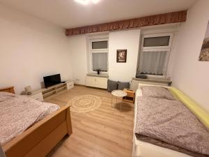 Μια τηλεόραση ή/και κέντρο ψυχαγωγίας στο Ferienwohnung Goldener Drache +1 φωτογραφίες