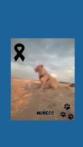 Ảnh trong thư viện ảnh của Loft del mar ở Ciudad del Carmen