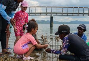 Příroda nedaleko hotelu