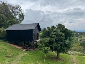 un edificio negro en una colina con un árbol en Luna Menguante Refugio de Silencio y Renovación, en Silvania