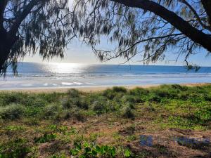 a view of the beach from under a tree at 58 The Esplanade in Woodgate