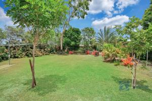 a large yard with trees and grass at 103 The Esplanade in Woodgate