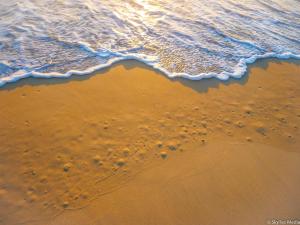 a group of footprints in the sand on a beach at 100 The Esplanade in Woodgate