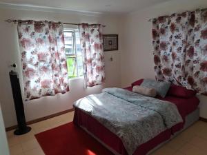 a bedroom with a bed and a window with curtains at Sekoula Home in Suva