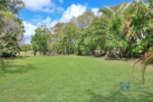 a large grass field with palm trees in the background at 154 The Esplanade in Woodgate
