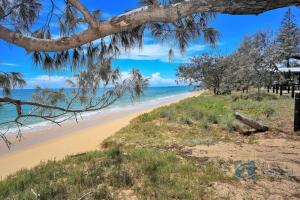 a sandy beach with trees and the ocean at 4/139 The Esplanade in Woodgate