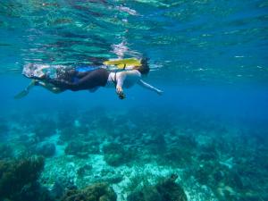 ダンリガにあるSunshine Cabanas At Ocean Viewのサンゴ礁の近くの水で泳いでいる人