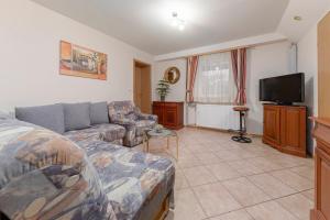 戈雷尼斯卡地区采尔克列Apartma Franko的带沙发和电视的客厅