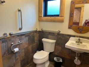 a bathroom with a toilet and a sink at Cedar Studio at Pine Cone Lodge in Park Rapids +4 photos