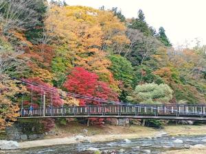 een brug over een rivier met kleurrijke bomen bij 坂聖 那須塩原 in Nasushiobara