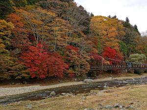een brug over een rivier met kleurrijke bomen bij 坂聖 那須塩原 in Nasushiobara