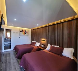 Galeriebild der Unterkunft Vista Zacatlan Hotel in Zacatlán