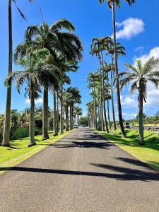a street lined with palm trees on a sunny day at Tilys lodge in Capesterre-Belle-Eau