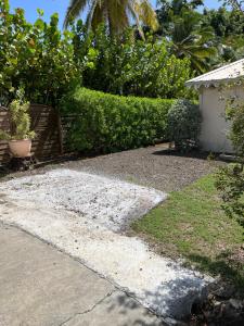 a garden with bushes and a walkway at Maison Latecoere avec piscine in Le François